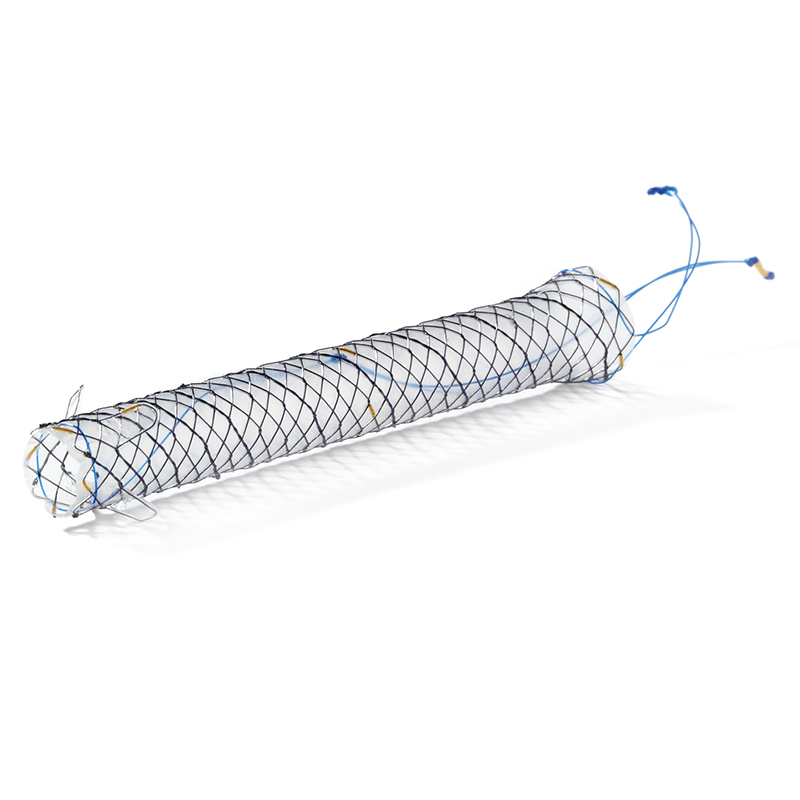 Biliary Stent